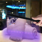 USB household portable sterilization stick