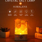 Salt LED Lamp